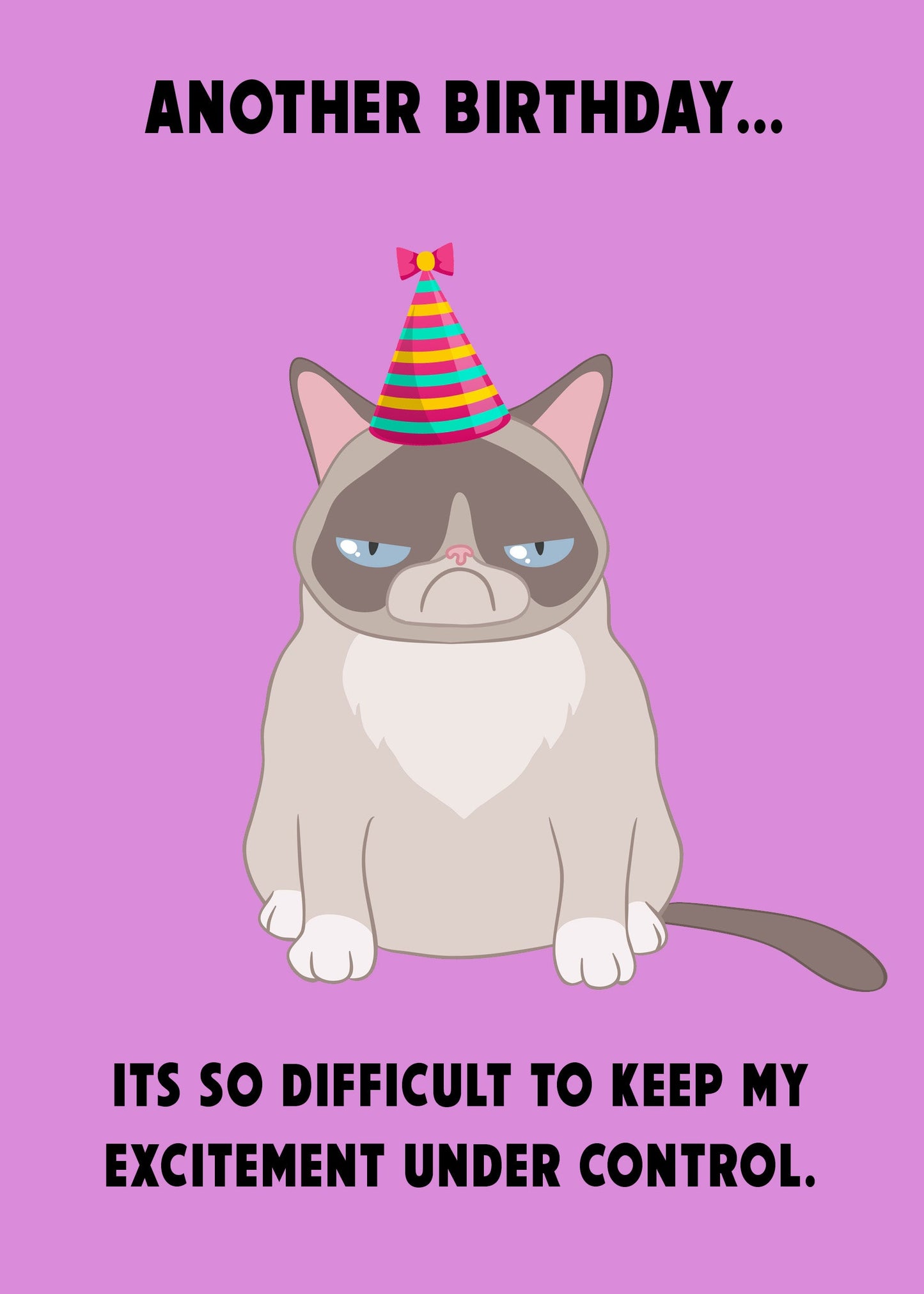 Keeping Excitement Under Control Funny Birthday Card